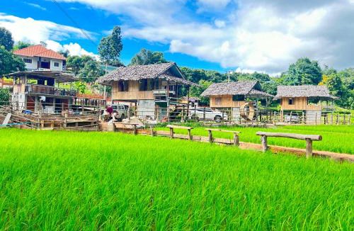 Laplae Resort | La Chipu homestay