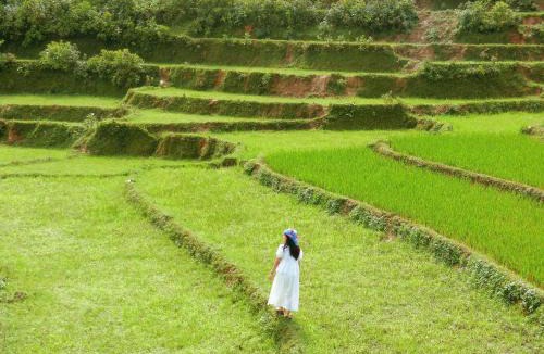Bac Ha House | Lagom Bắc Hà Farmstay