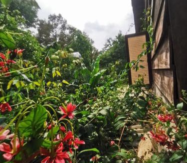Dak Mil House | Lily's Stone Garden homestay