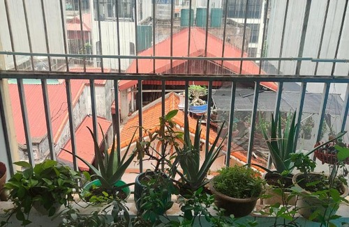 Hanoi House | Little Solace Hanoi Homestay