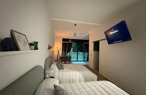 Cuetzalan del Progreso Hotel | Loft ËNXË Boutique Habitación Olivo