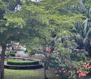 Duc Hoa Apartment | Long Homestay Phuc An