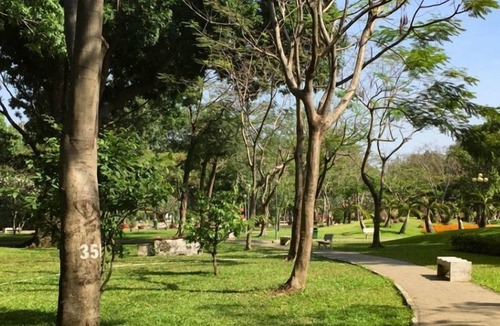 Phuong 6 Apartment | Lunaria Maison - Central Park
