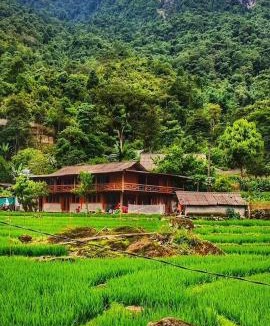 Sa Pa Apartment | Mắn Mẩy homestay