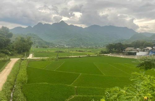 Mai Chau House | Mai Chau Bamboo Homestay