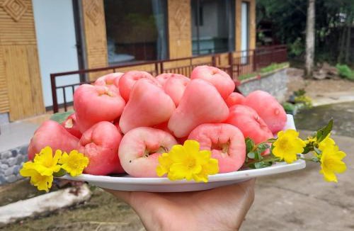 Mai Chau House | Mai Chau Mountain View Homestay Thảo Ly - Bản Nhót