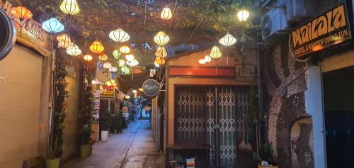Downtown Ho Chi Minh City Apartment | Mailala Hostel & Bar