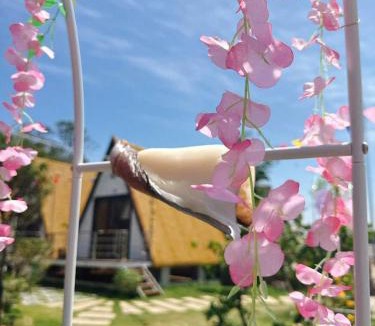 Van Don Resort | Mia's Homestay