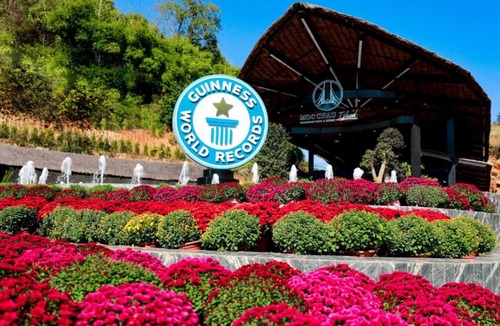 Moc Chau Hotel | Moc Chau Island - Mountain Park and Resort