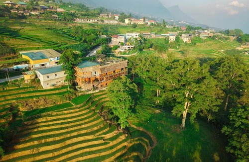 Hau Thao Hotel | MT Homestay Terraced Fields - Sa Pa Trekking Tour Tả Van