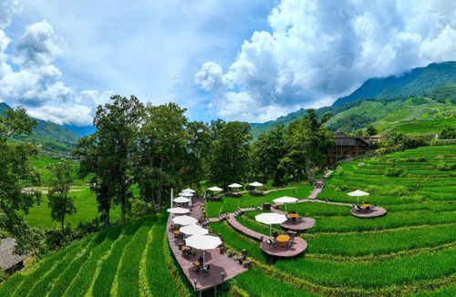 Hau Thao Hotel | MT Homestay Terraced Fields - Sa Pa Trekking Tour Tả Van