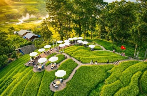 Hau Thao House | MT House Sa Pa - Mountain & Terraced fields View And Trekking Tour