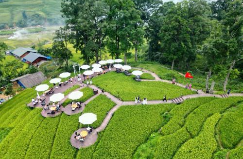 Hau Thao House | MT House Sa Pa - Mountain & Terraced fields View And Trekking Tour