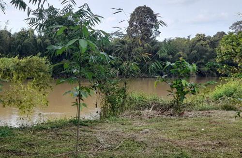 Nam Cat Tien Cabin | Nest Homestay