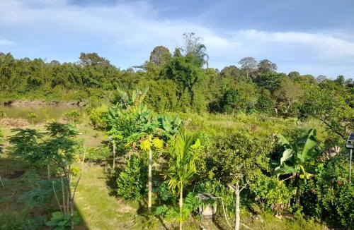 Nam Cat Tien Cabin | Nest Homestay