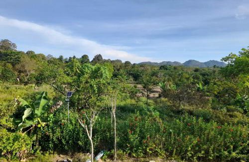 Nam Cat Tien Cabin | Nest Homestay