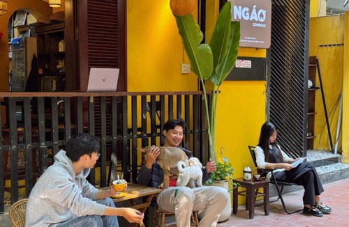 Dong Da House | Ngáo Homestay Hanoi