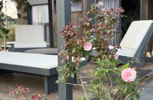 Lam Ha Villa | Ngô Đồng 1F - Lâm Viên