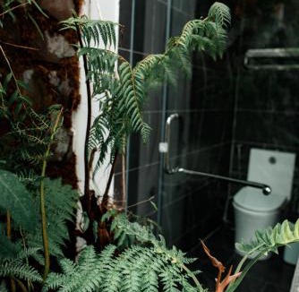 Ninh Hai House | ngaunhien's house - Homestay