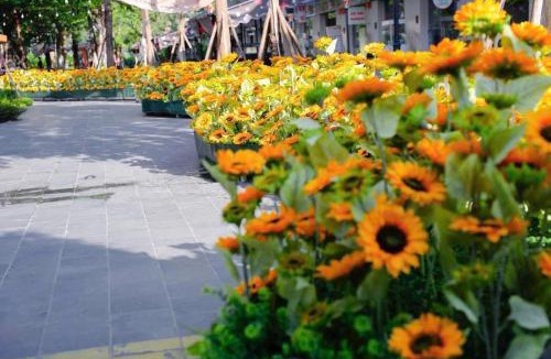 Thanh Thuy Villa | Nghỉ Dưỡng Khoáng Nóng - Lynn times Thanh Thủy, Phú Thọ