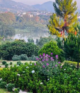 Bao Loc Resort | Nhà Bà Tiên Homestay & Chill