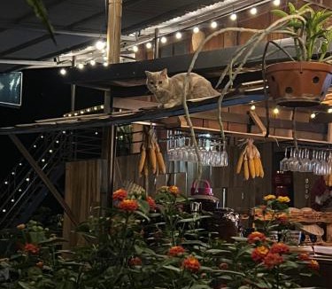 Chieng Chau Cabin | NHÀ CỦA CHI - HOMESTAY Food & Coffee