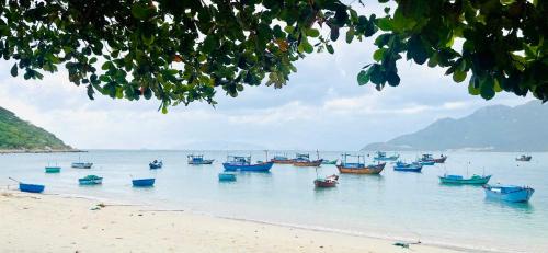 Ninh Hoa House | Nhà Của Gấu Homestay - Dốc Lết