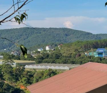 Da Lat Apartment | Nhà Dưới Đồi Homestay