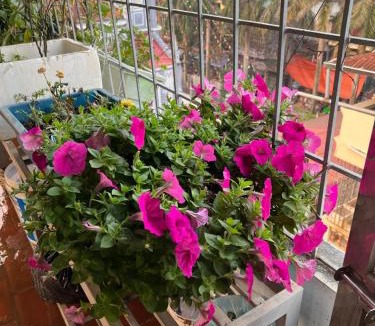 Lao Cai House | Nhà nghỉ Hoàng Lan