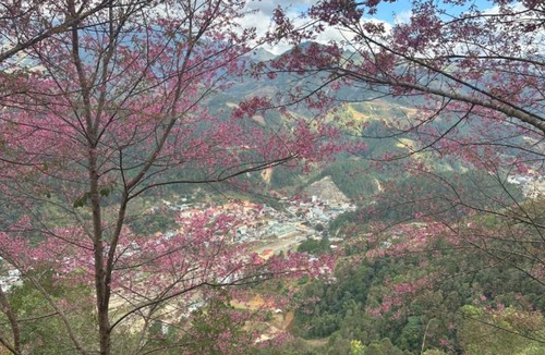 Mu Cang Chai Hotel | Nhà trên đồi - Windy Hill