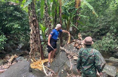 A Luoi Cabin | Nhuanthoa Homestay