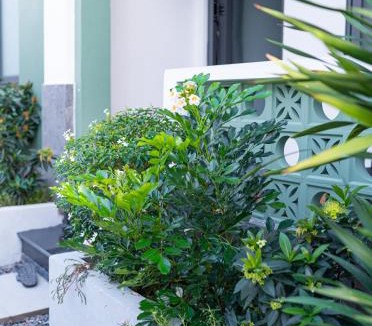 Cai Rang Apartment | Nine Homestay