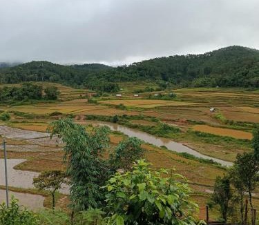 Mang Yang Cabin | nnnn