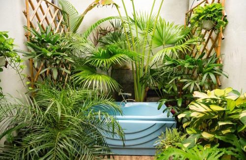 Hoan Kiem House | Old Quater Hanoi Tropical Villa Lucy Homee