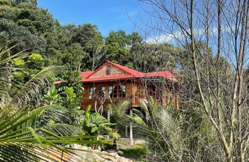 Ham Ninh Villa | Ong Vinh House - Living Among Nature !