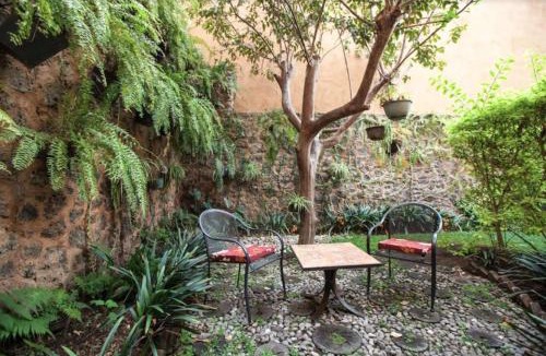 Acapantzingo Hotel | Orchidelirium Casa Hotel & Salud Estética