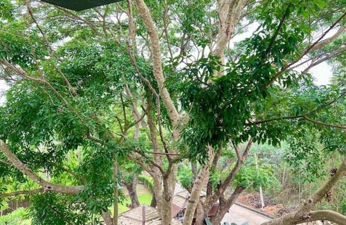 Pai Apartment | Peaceful Pai Studio with Balcony & Green Views
