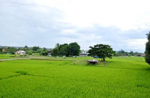 Pua Villa | Pernjai Homestay