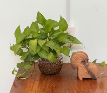 Ninh Hai Hotel | Phan Lê Homestay