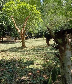 Muang Ngoi Neua House | Phanoy Viewpoint camping