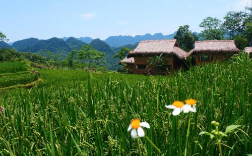 Pu Long Nature Reserve Resort | Pu Luong Jungle Lodge