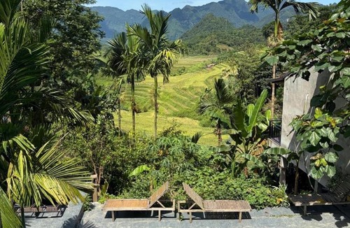 Kho Muong Bed & Breakfast | Puluong Aroma