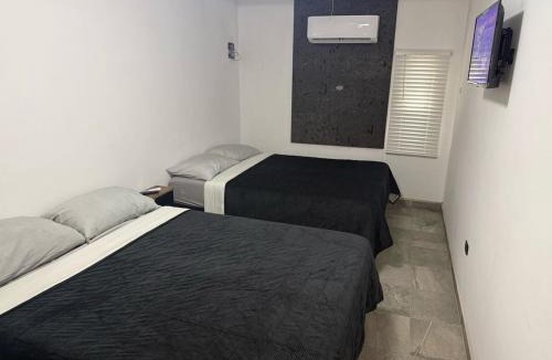 Reynosa Apartment | Punta Lobos