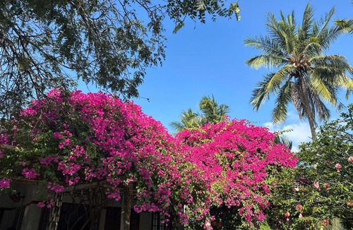 Ba Tri House | Que Nha Homestay