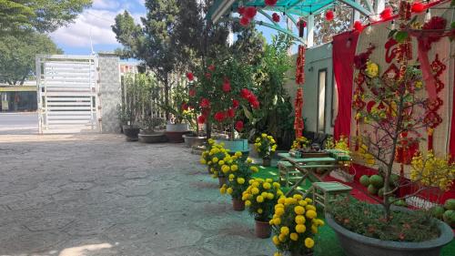 Phuoc Diem Hotel | QUEEN HOTEL Khách sạn QUEEN