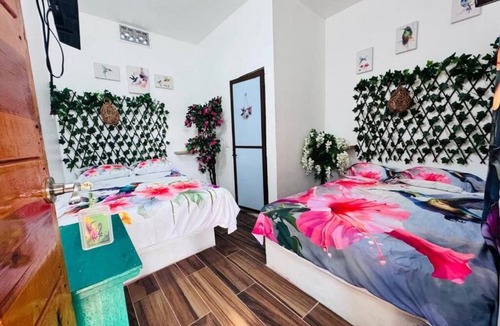 Playa Chachalacas House | refugio de las aves