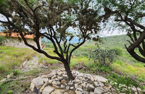 Ixmiquilpan Cabin | Refugio del Silencio Cabin, Ixmiquilpan