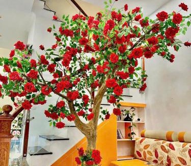 Van Giang Villa | Rose house