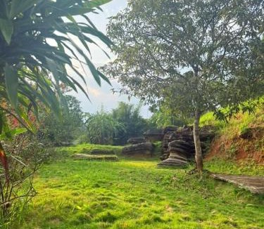 Cao Phong Cabin | Ruộng Homestay
