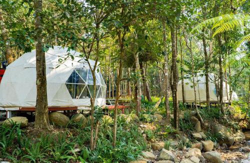 Duc Trong Cabin | Rung Thong Nui Voi Villa & Resort